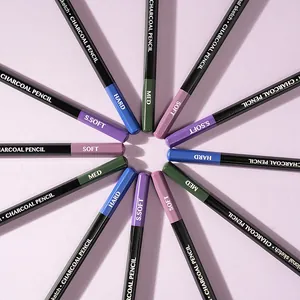 Detailed macro view of professional sketching charcoal pencils with hardness labels.