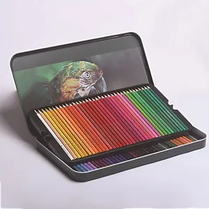 Detailed macro view of 72 professional colored pencils arranged neatly in a black tin case