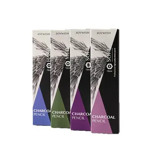 Professional 12-piece charcoal pencil set for sketching, multiple grades from hard to soft.