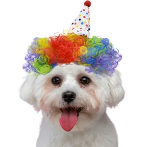 Dettaglio della parrucca da clown colorata e cappello da festa per cani compleanno