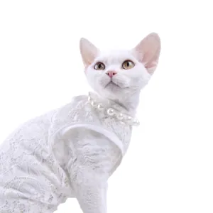Close-up of white lace pet wedding dress with elegant pearl collar decoration