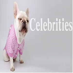 Detailed macro view of a pink tweed style knitted sweater on a French Bulldog puppy