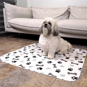 Lindo perro pequeño sentado en una alfombrilla lavable de entrenamiento para mascotas