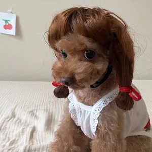 Brown synthetic hair pet wig with pigtails for small dogs and cats Halloween accessory