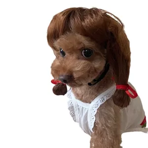 Funny brown pet wig with pigtails for small dogs and cats Halloween accessory