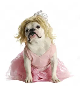 Detalle de una divertida peluca rubia para mascotas en un perro bulldog francés