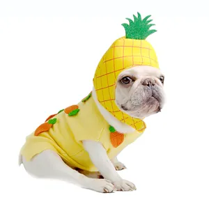Französische Bulldogge mit lustigem gelbem Haustierhut in Ananasform und Strickoutfit