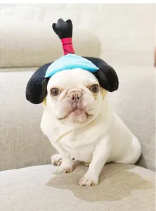 Cute white French Bulldog wearing a Japanese samurai chonmage style pet hat