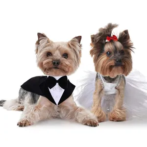 Yorkshire terriërs in bruiloft pet tuxedo en witte tutu jurk met vlinderdas accessoire