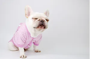 Detail view of pink tweed pet jacket showing premium knit texture on French bulldog.