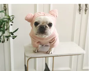 Primer plano de un bulldog francés con una tierna sudadera rosa de cerdito para mascotas