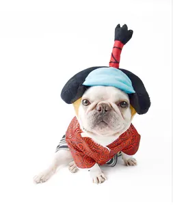 French bulldog in creative red Japanese samurai pet costume on white background