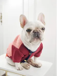 Close-up of a French Bulldog wearing a warm red and orange herringbone knit pet sweater