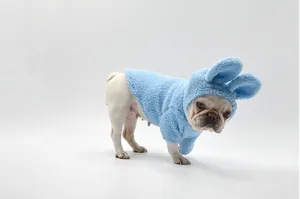 Side view of a French Bulldog wearing a blue fleece rabbit-ear outfit in a white studio.