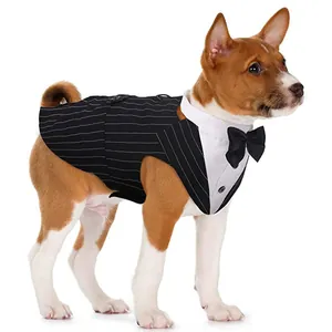 Detailopname van een formeel gestreept honden tuxedo vest met zwarte vlinderdas