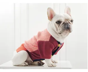 Close-up of French Bulldog wearing a stylish red and orange herringbone knit dog sweater.