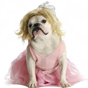 Peluca rubia para perros y gatos, ideal para Halloween y fiestas de disfraces creativas
