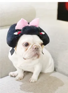 Macro detail of a white French Bulldog wearing a black Japanese style wig hat with a pink bow