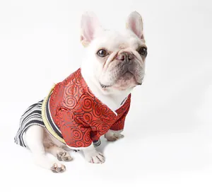 Detailed view of a French Bulldog wearing a red Japanese samurai kimono pet outfit.