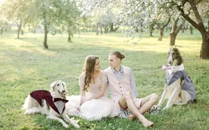 Grote honden in elegante bruiloftstuxedo's in een romantisch park in de buitenlucht