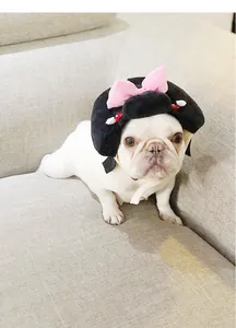 Cute white French Bulldog wearing a Japanese style pet wig hat with pink bow on sofa