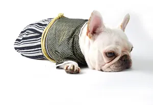 Detailed view of a French Bulldog wearing a traditional Japanese samurai pet kimono costume