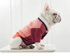 Close-up of stylish red chevron pattern knit dog sweater on a French Bulldog