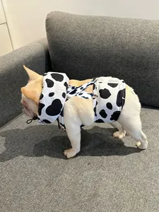 Detail showing a white French Bulldog in a cow-pattern cooling vest and neck collar.