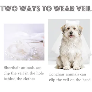 Detail view showing two ways to wear white pet wedding veil with pearl lace