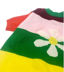 Close-up detail of colorful knitted pet sweater with floral pattern and soft texture