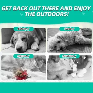 Infographic showing suitable conditions for pets like elderly, weak, injured or disabled dogs.