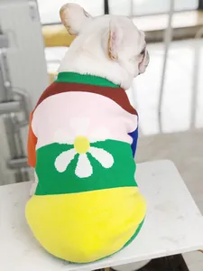 Close-up detail of a colorful knitted pet sweater featuring a vibrant daisy flower pattern.