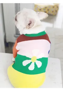 Detailed view of colorful knitted pet sweater with daisy pattern on a French Bulldog
