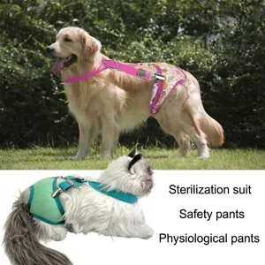 Combinaison de récupération et pantalon physiologique pour chiens et chats avec sangles