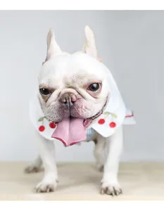 Close-up of a French Bulldog wearing a white pet dress with cherry embroidery detail