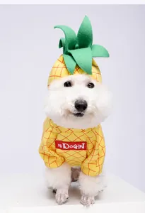 Funny pineapple transformation pet costume for small dogs and cats, perfect for Halloween.