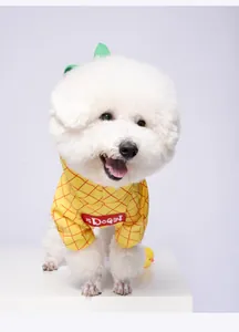 Detailed view of a cute pineapple dog costume worn by a fluffy white Bichon Frise