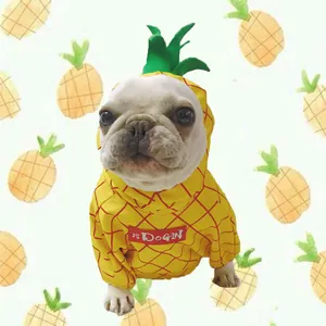 Close-up detail of a French Bulldog wearing a yellow pineapple-themed Halloween pet costume