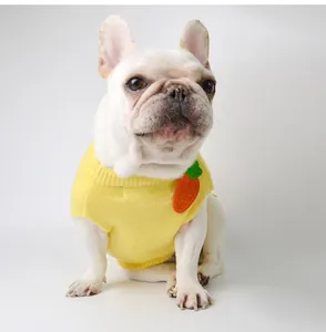 Close-up of a French Bulldog wearing a cute yellow knitted pet sweater with carrot applique