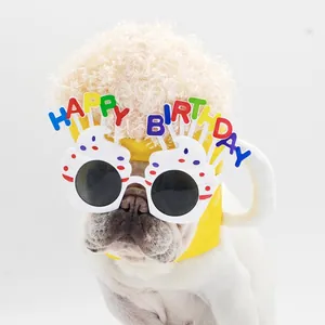 Cute dog birthday hat with cupcake glasses and colorful Happy Birthday lettering