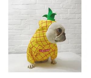 Funny French Bulldog wearing a cute yellow pineapple dog costume for Halloween parties