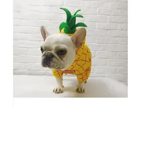 Close-up of a French Bulldog wearing a vibrant yellow pineapple pet costume for Halloween