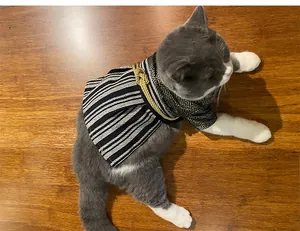 Detailed view of a gray and white cat wearing a Japanese samurai style kimono costume