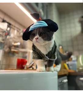 Detail shot of a cute cat wearing a Japanese samurai kimono outfit with traditional pattern