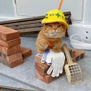 Casque de sécurité jaune mignon pour chiens et chats accessoire costume de chantier