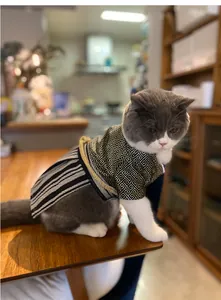 Grey and white cat wearing a creative Japanese samurai kimono on a wooden table.