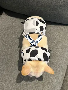 Detailed top-down view of a dog wearing a cow pattern cooling vest and harness for summer