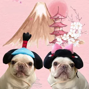 Cute Samurai and Geisha themed transformation hats for small dogs with Japanese background