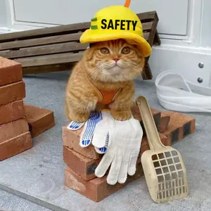 Close-up of a ginger cat wearing a yellow safety helmet and orange construction harness