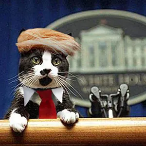 Funny Trump style blonde cat wig with red tie and white collar for pet cosplay costume